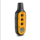 Garmin Pro Control 2 Remote Launch System - Handheld and Remote Receiver (010-01208-00)