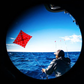 SIG SAUER ZULU6 HDX Marine Image Stabilized Binoculars - HDX Lens System, 16x42mm (SOZ6WP16OR)