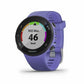 Garmin Forerunner 45S GPS Running Watch (010-02156-01)